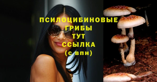 молекула духа Беломорск