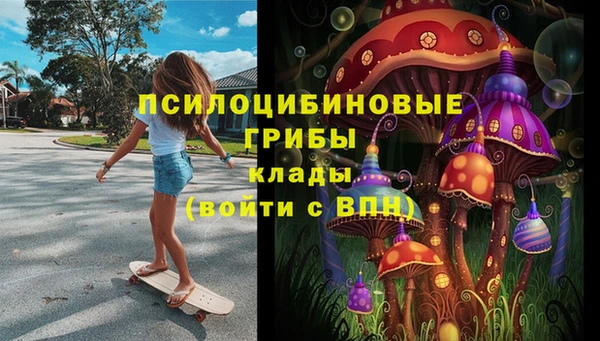 ГАЛЛЮЦИНОГЕННЫЕ ГРИБЫ Белоозёрский