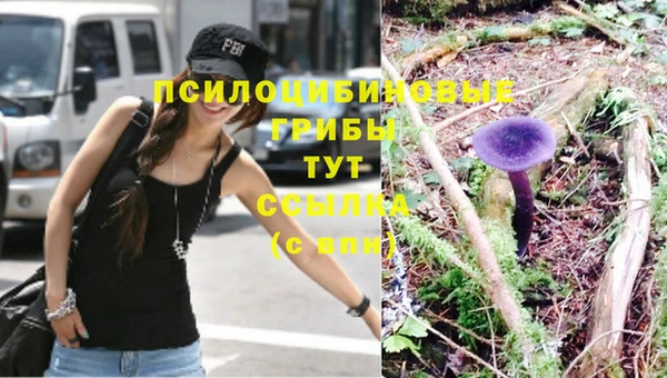 ГАЛЛЮЦИНОГЕННЫЕ ГРИБЫ Белоозёрский